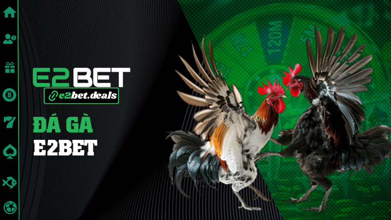 Đá gà E2bet – Đấu gà online nhưng máu lửa như trường gà thật