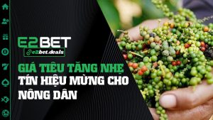 Giá Tiêu Tăng Nhẹ: Tín Hiệu Mừng Cho Nông Dân Và... Những Ai Biết Đặt Niềm Tin Đúng Lúc