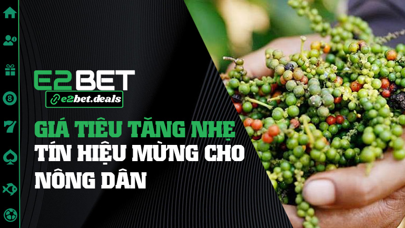 Giá Tiêu Tăng Nhẹ: Tín Hiệu Mừng Cho Nông Dân Và... Những Ai Biết Đặt Niềm Tin Đúng Lúc